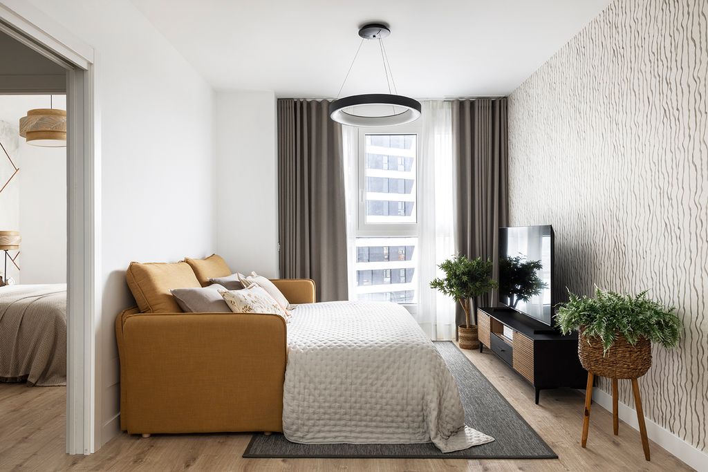 Salón con sofá cama. 