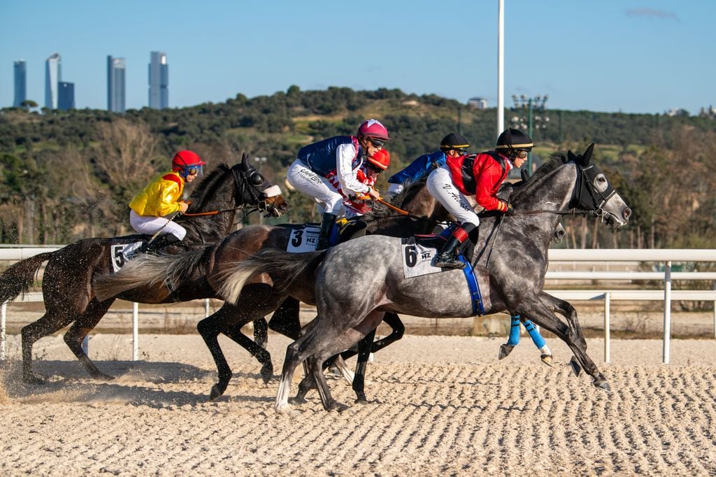 Carreras de caballos Hipódromo de Madrid