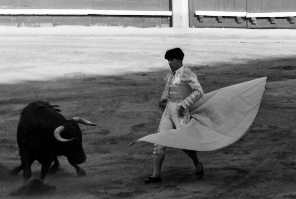 El diestro segoviano logró salir en tres ocasiones por la Puerta Grande de Las Ventas, una de ellas durante la histórica Corrida de Beneficencia de 1964