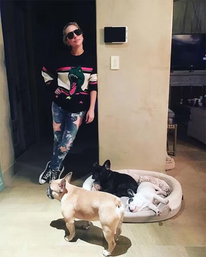 Lady Gaga y sus perros