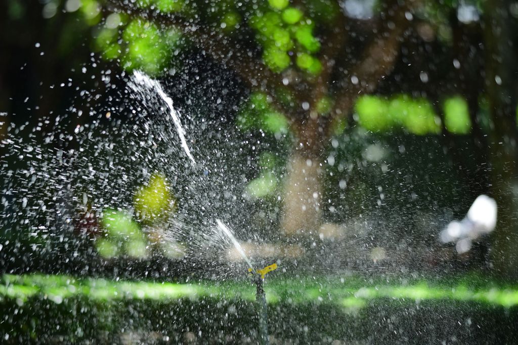 Aspersor regando un jardín doméstico