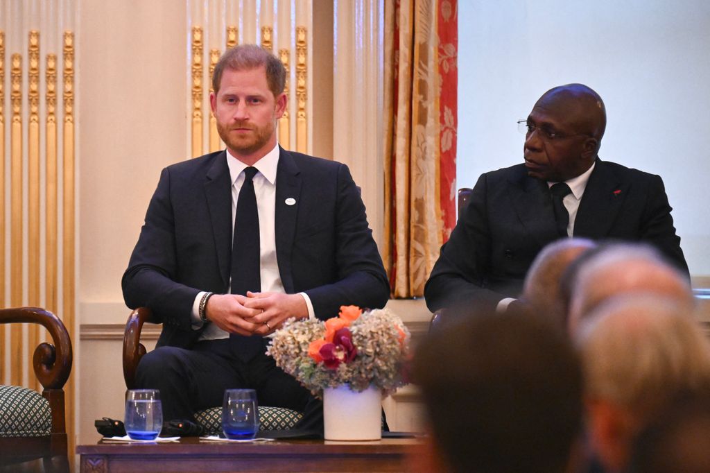 Harry renunció a su posición dentro de la ONG en marzo pasado.