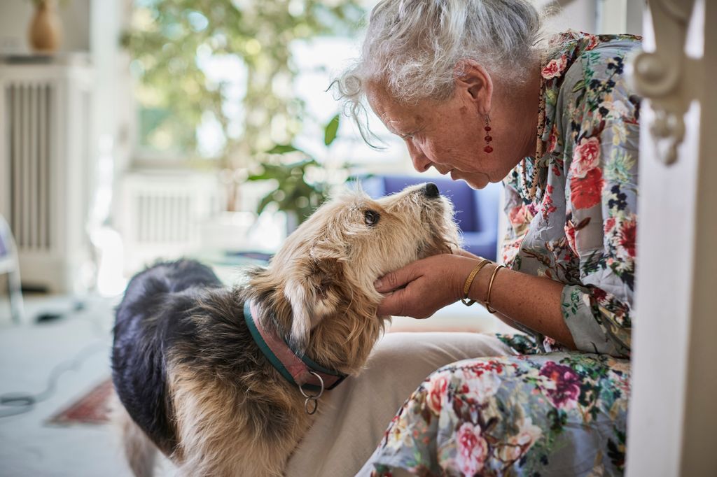 La compañía de un perro puede mejorar el ánimo, la actividad física y la vida social de muchas personas mayores