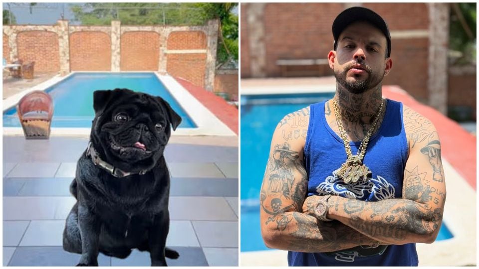 A la izquierda, la foto de 'Gordo' montada con el mismo fondo de los videos de Emiliano Aguilar. A la derecha, Emiliano Aguilar. 