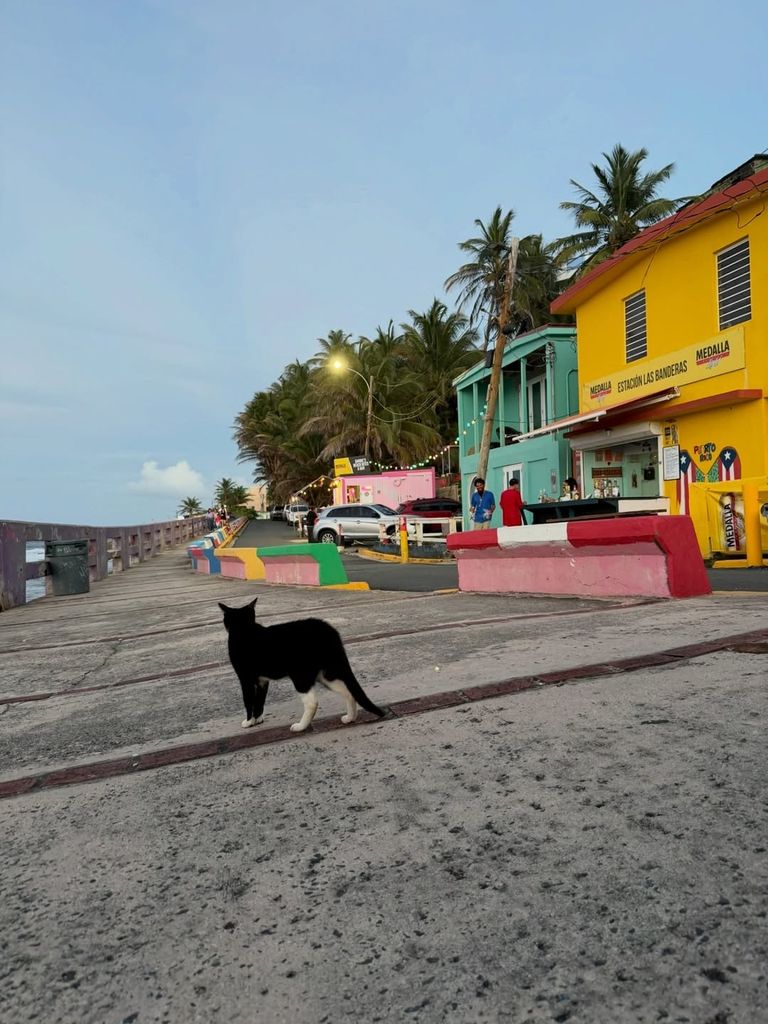 Las calles de San Juan, coloridas y llenas de vida