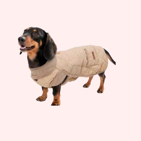 Un abrigo acolchado chic