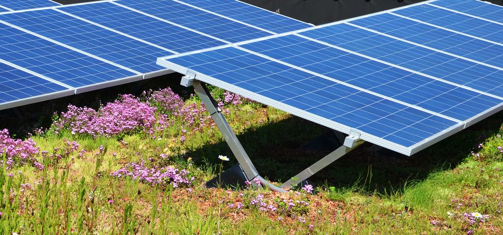 Cubierta verde biosolar, es decir, con techo vegetal y placas fotovoltaicas