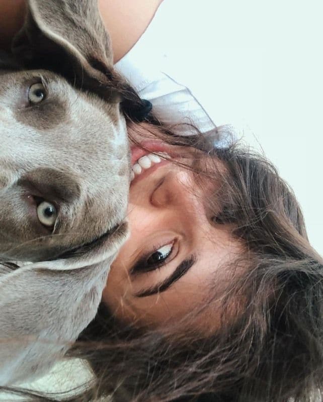 Hande-mascota-azul-ig-handemiyy