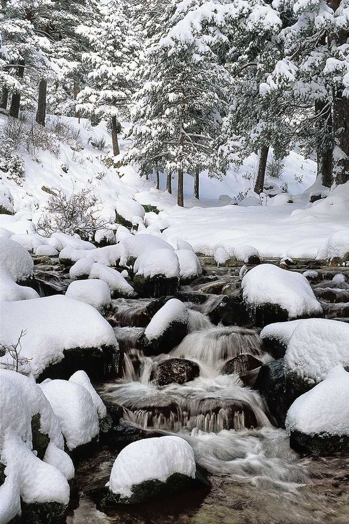 arroyo-nevado-en-el-valle-de-la-fuenfria