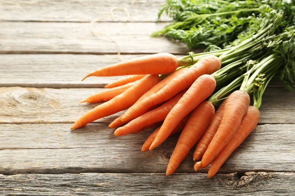 Zanahorias