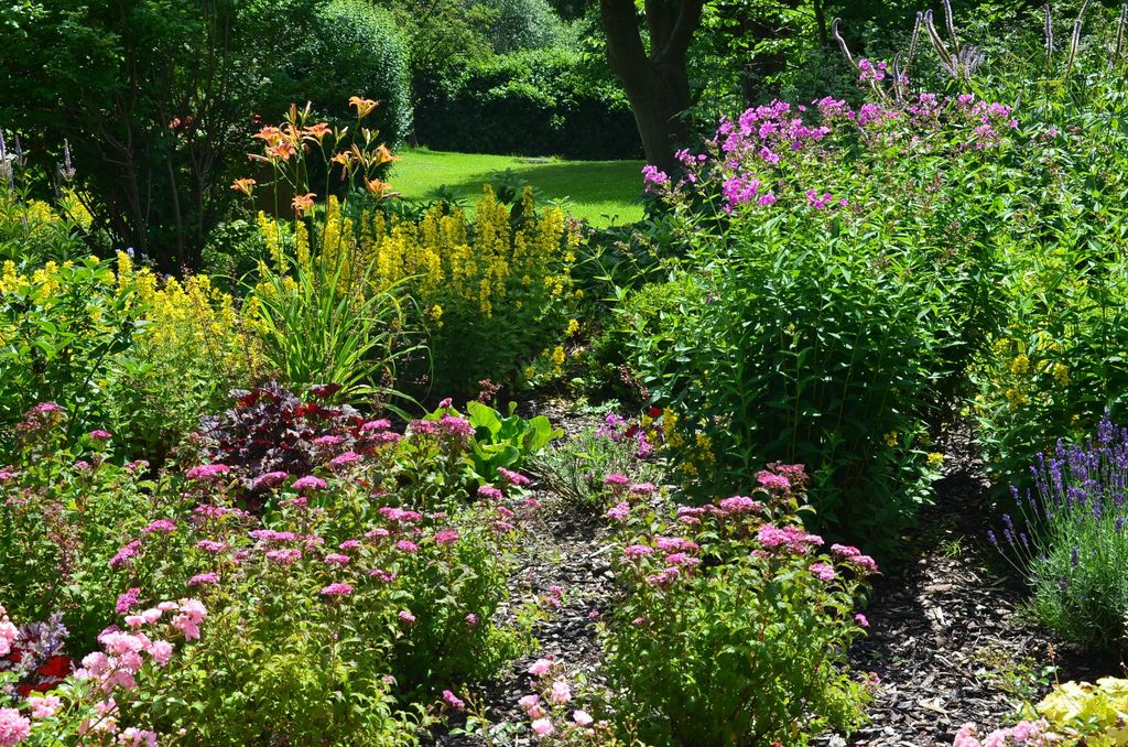 Jardín con plantas y flores