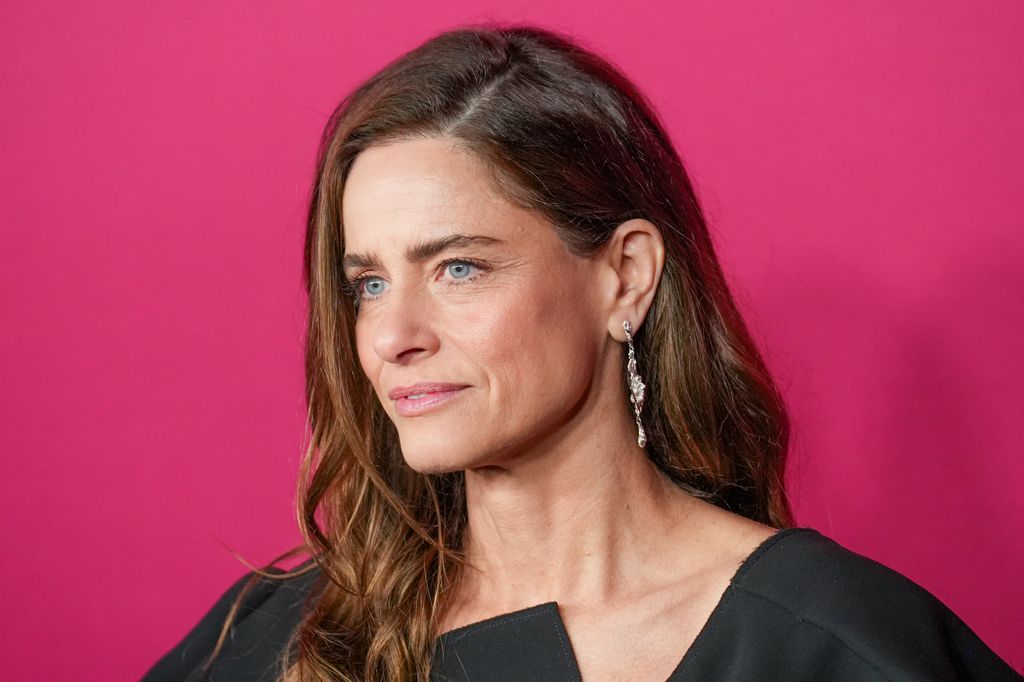Amanda Peet en la premiere de 'Todas las de la ley' en Los Ángeles