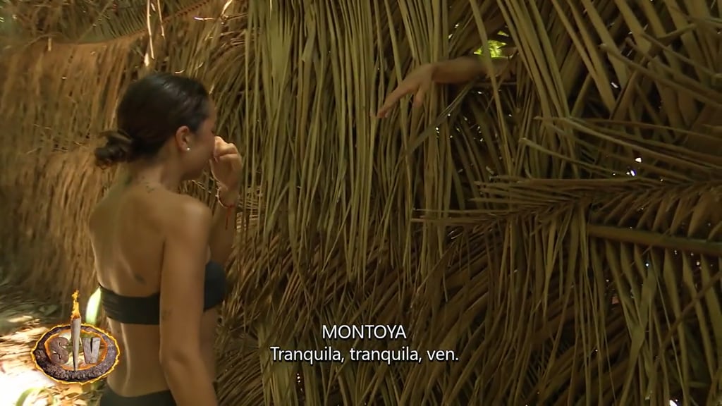 Anita Williams en Supervivientes 2025