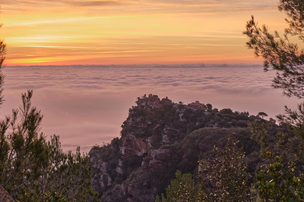 Amanecer en el bajo Llobregat, Barcelona