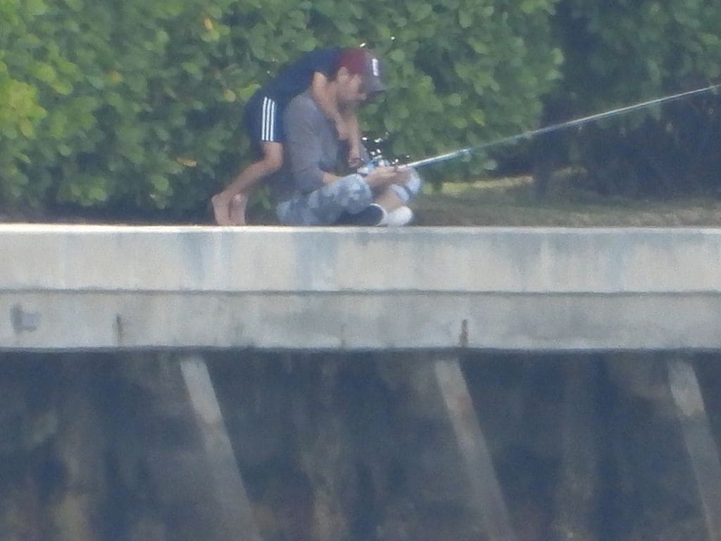as fotos de Enrique Iglesias enseñando a pescar a su hijo en Miami