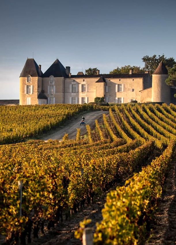 La bodega Château d'Yquem fue fundada en 1711.