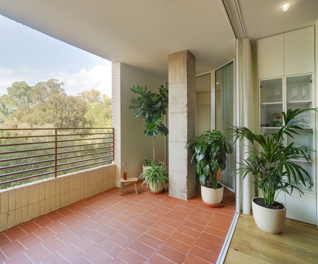Terraza recuperada en un piso en Murcia, con plantas que contribuyen a refrescar este espacio exterior y, también, los interiores