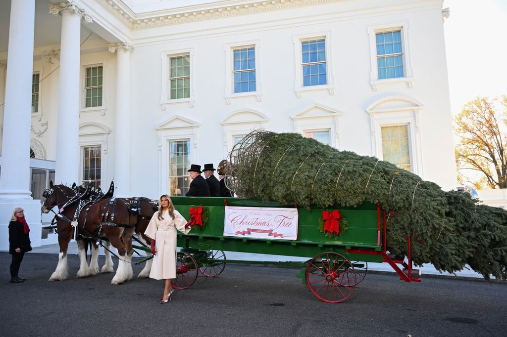 Melania Trump frente al árbol de Navidad que decorará la Casa Blanca este año 