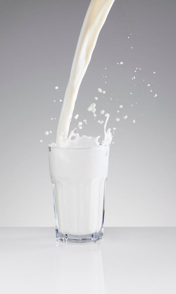 Milk
