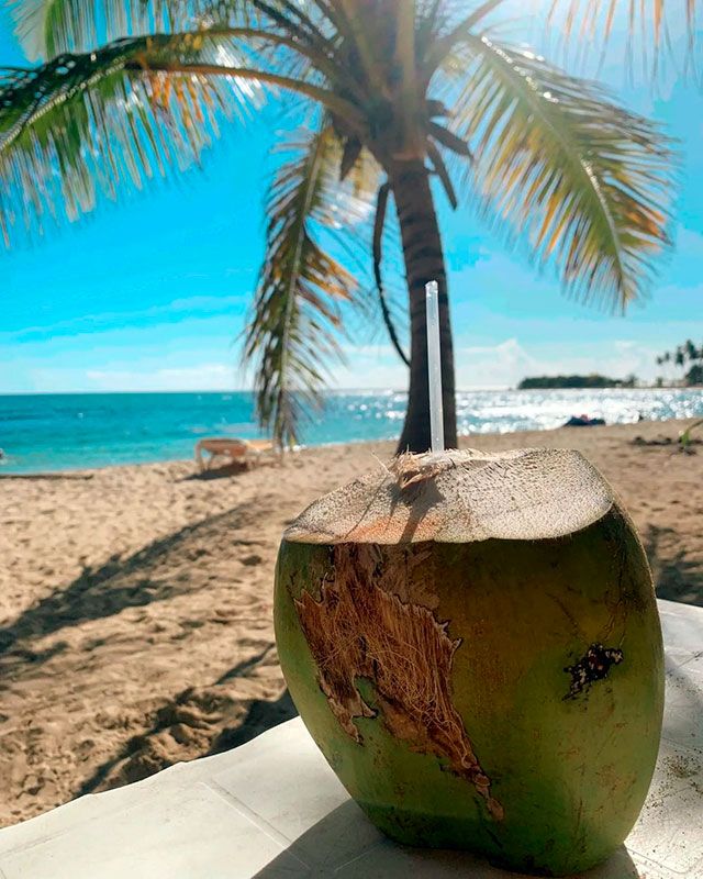 El coco de Carolina