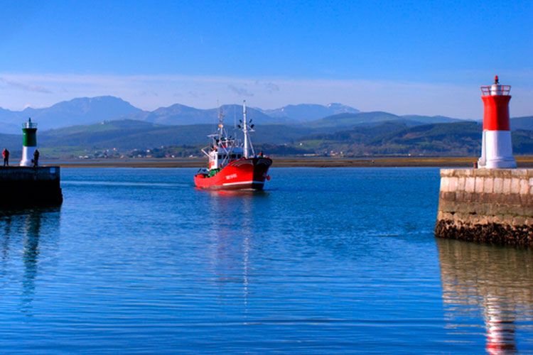 Anchoa puerto z