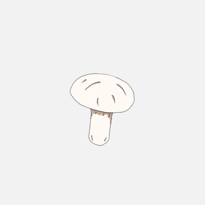 seta