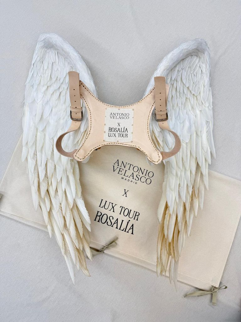 Alas creadas por Antonio Velasco para la gira LUX de Rosalía