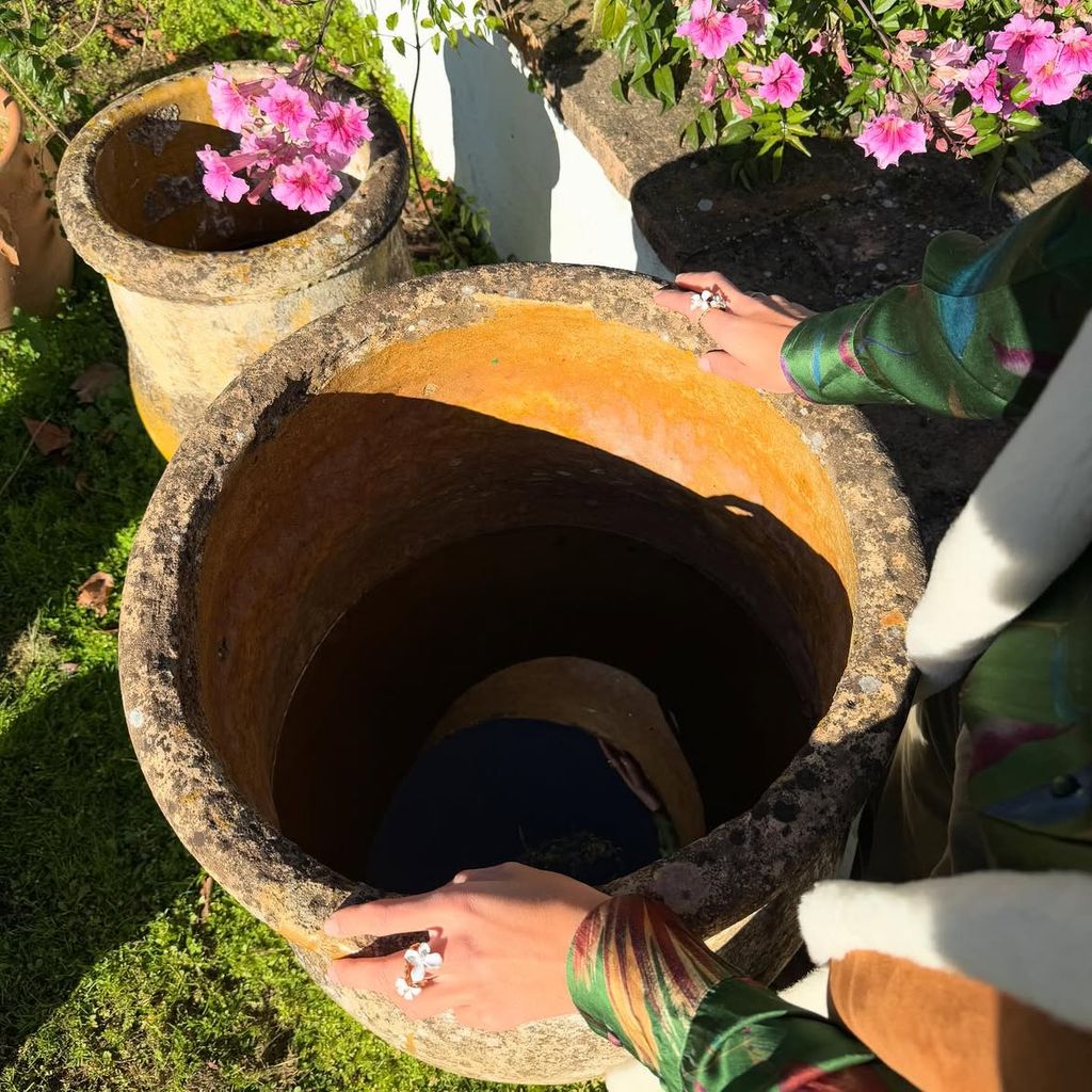 Las flores, mezcladas con plantas trepadoras y buganvillas rosas, dan mucha vida a este rincón. 