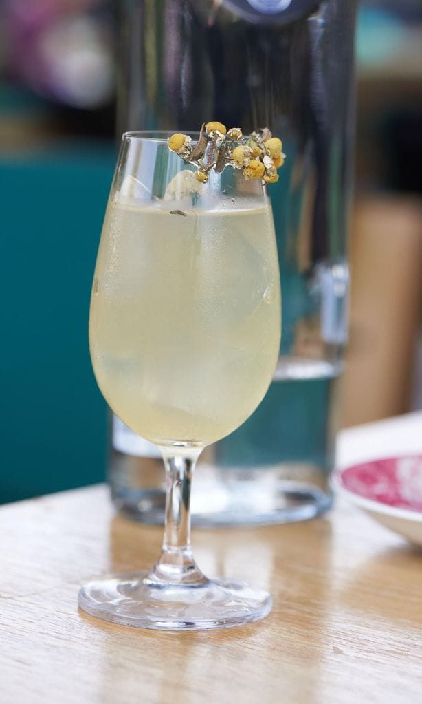 Cocteles nutrimentales, una opción para no fallar en tu dieta
