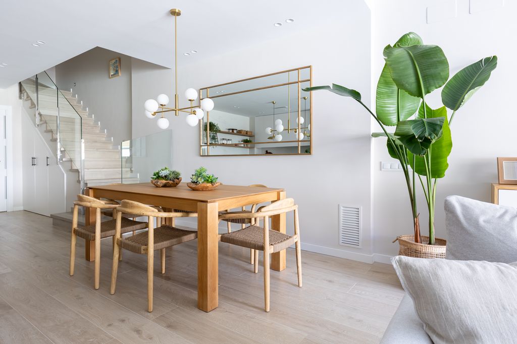 Comedor con planta grande.  