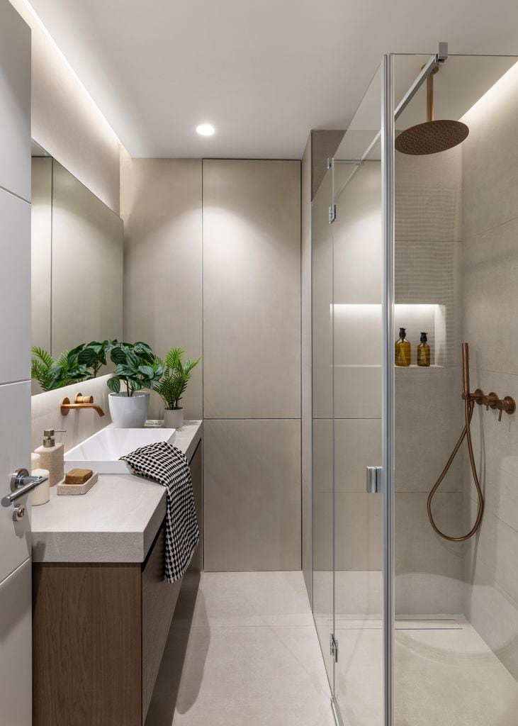 Baño con armario empotrado.