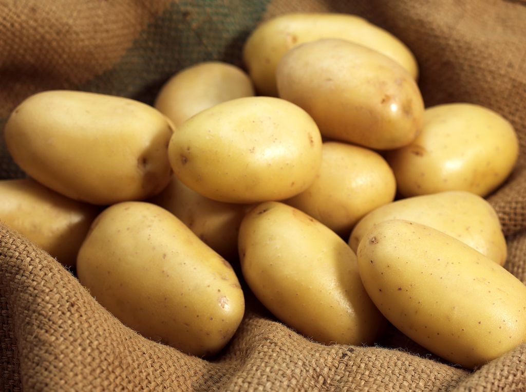 Patatas de carne firme, como la Monalisa que vemos en imagen, son ideales para este tipo de ensalada.