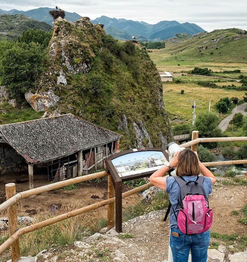 Observación de aves en San Emiliano en Babia, León
