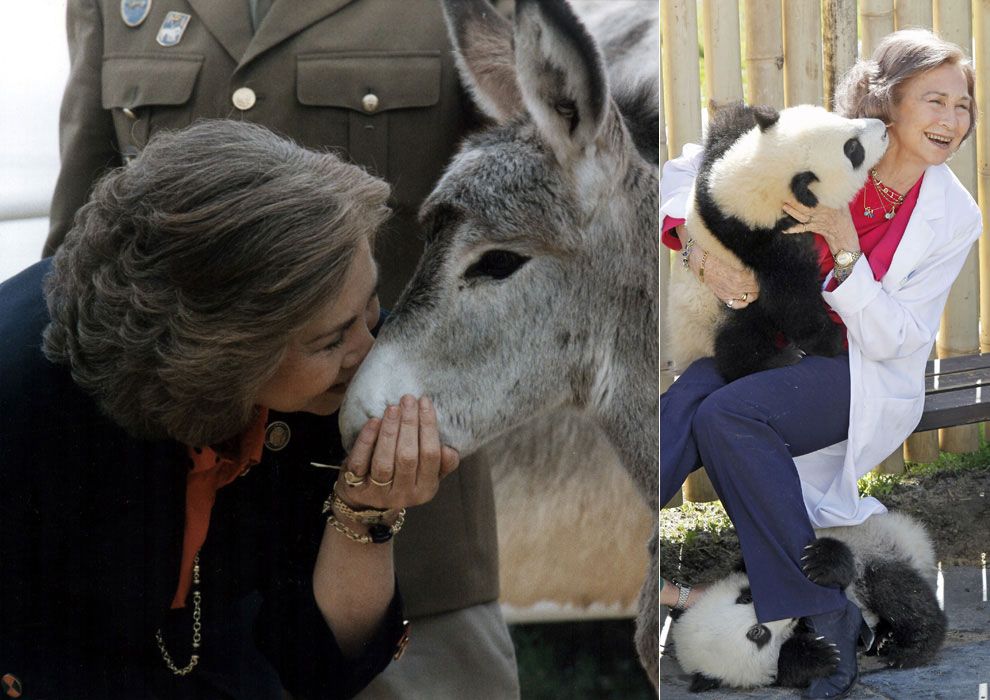 reina1animales1 