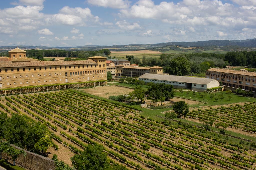 Olite, en Navarra, es famoso por su espectacular castillo, pero también por ser la capital del vino de la región.