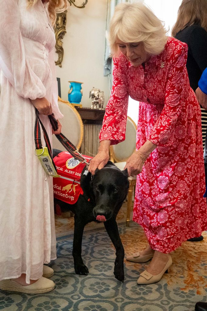 La reina Camilla acaricia a uno de los perros
