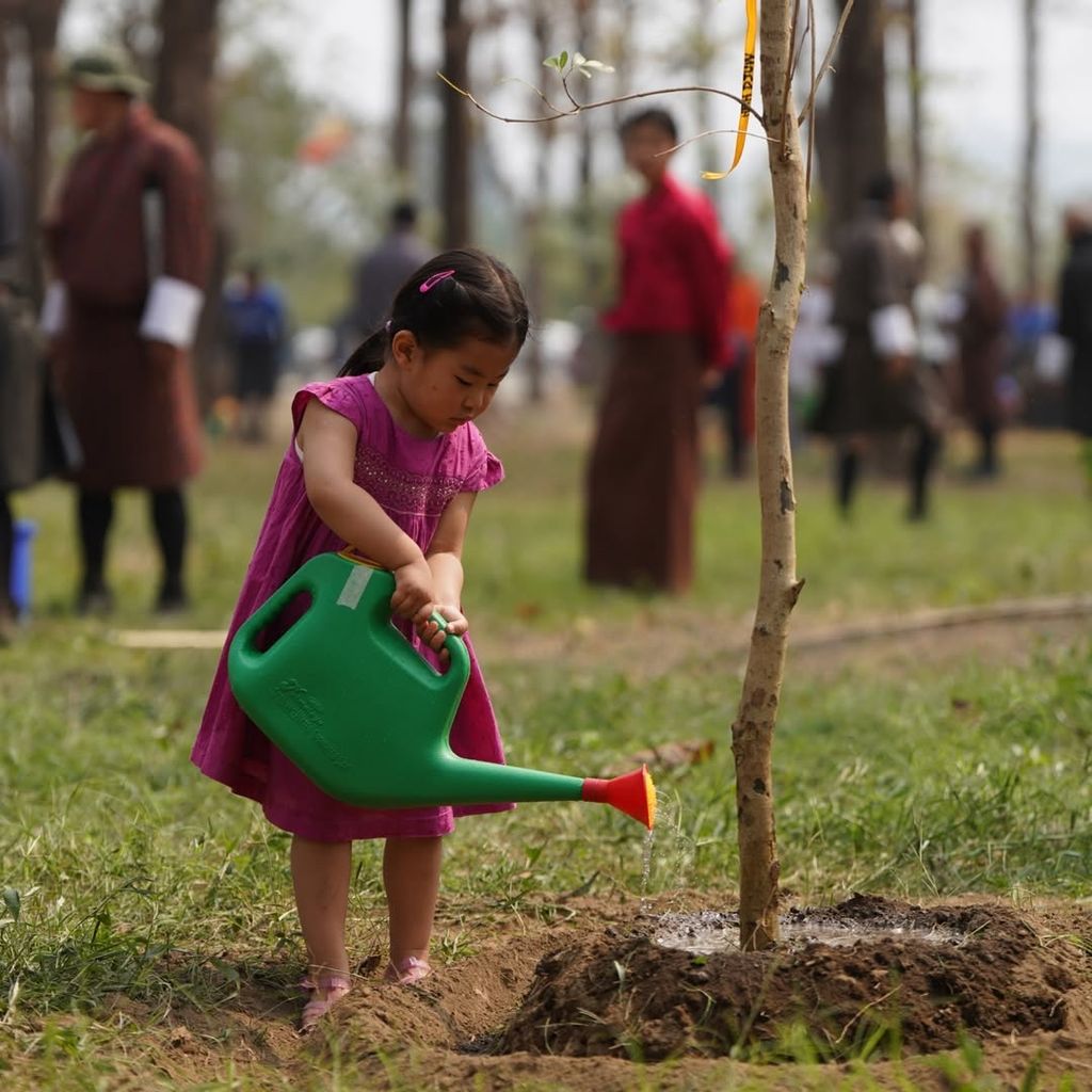 La pequeña Princesa Dragona plantando un árbol