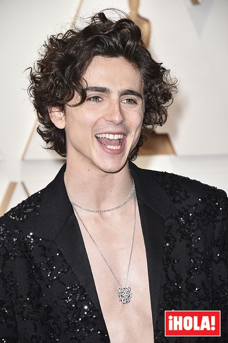 timothee chalamet