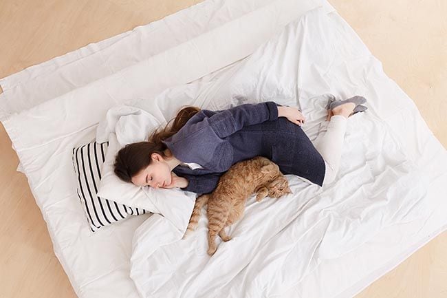 La letargia en los gatos: qué es y cómo tratarla 
