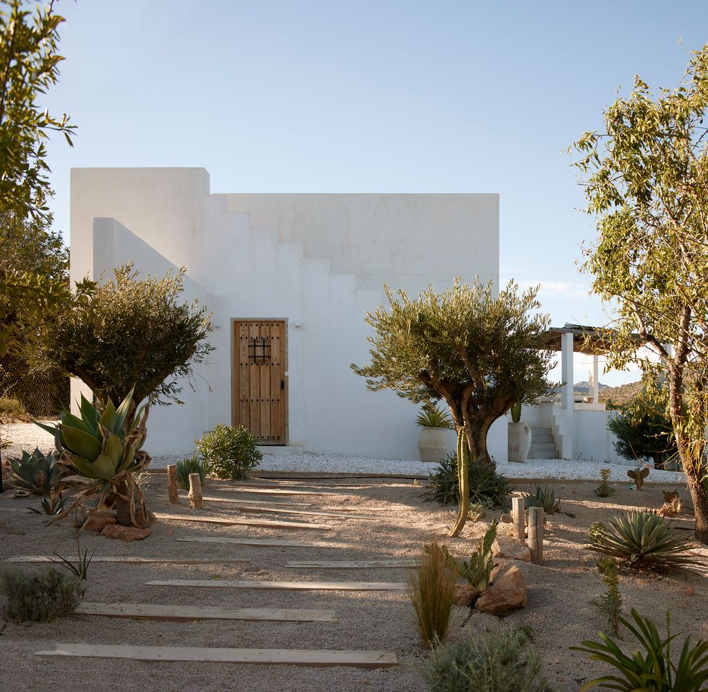 Jardín mediterráneo