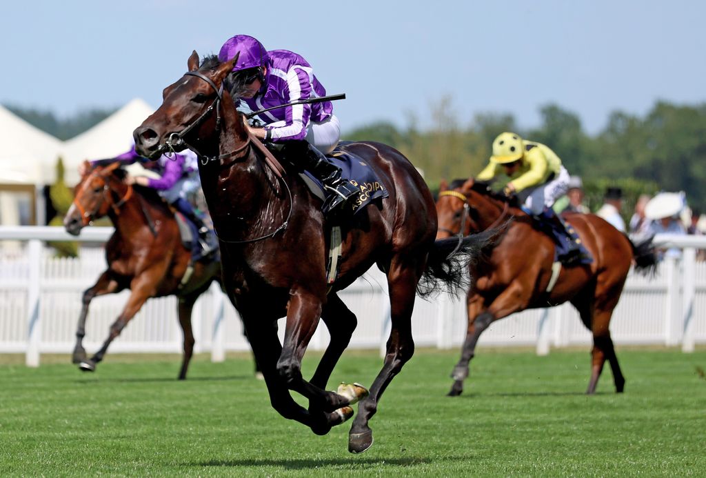 La realeza británica y su cita en Ascot