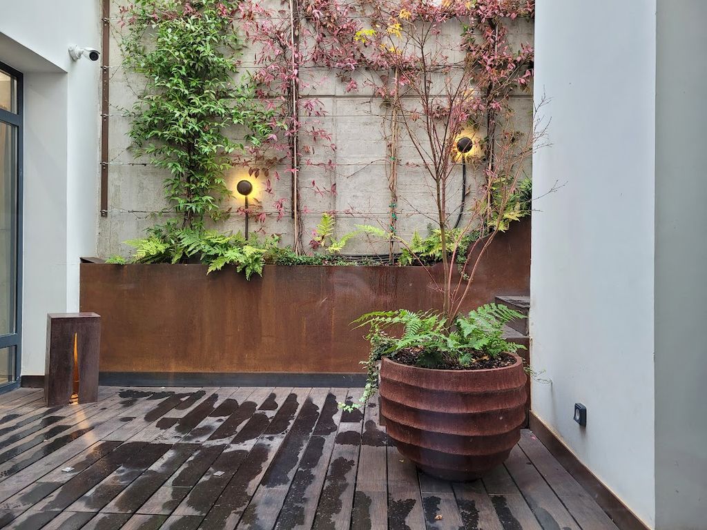 Espacio exterior con plantas