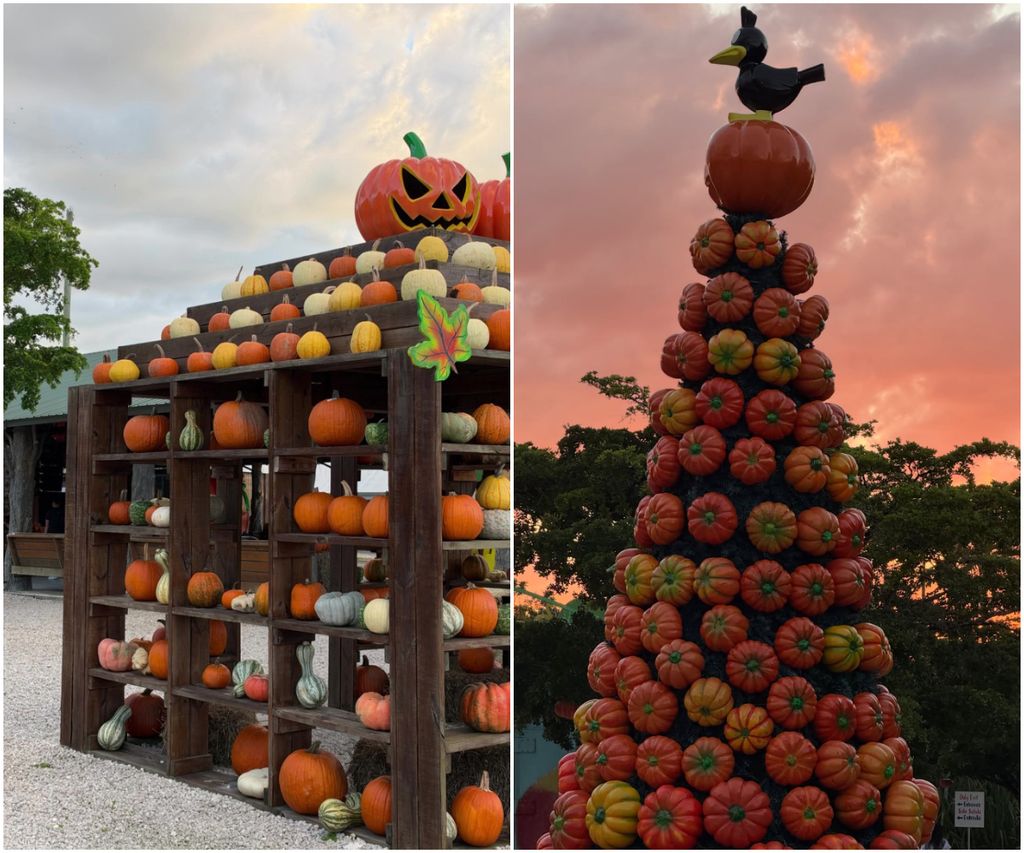 Nadia mostró la decoración en el parque agrícola que visitó con Marquito.