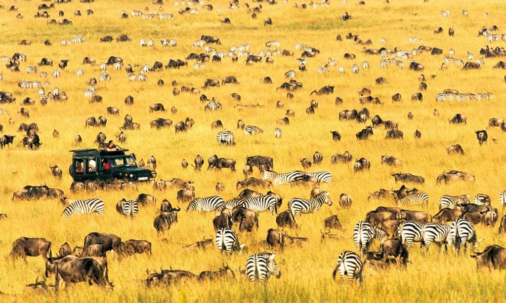 ¡HOLA! Viajes sueños cumplidos