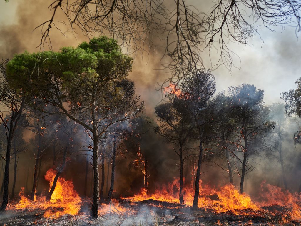 Imagen del incendio en Carcastillo (Navarra)