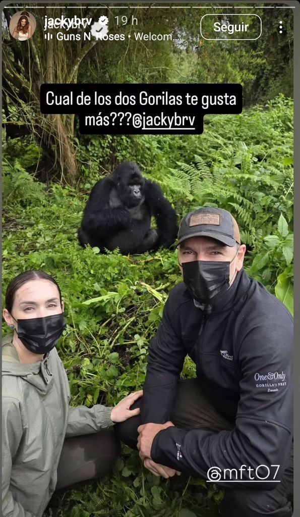 Jacky Bracamontes y Martín Fuentes tuvieron la oportunidad de ver la vida de los gorilas silvestres muy cerca de ellos