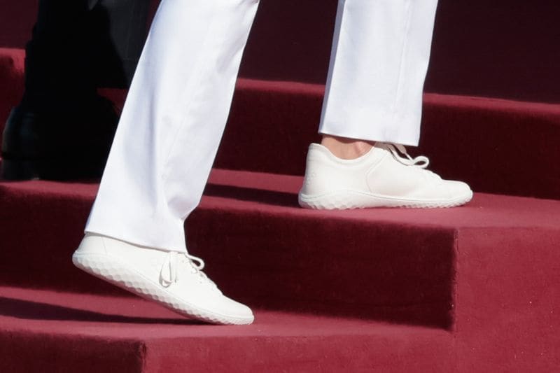zapatillas
