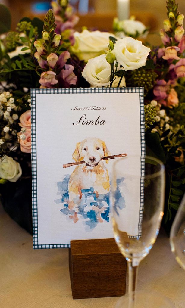 lbum de boda valentina r os amp constantin lambert hola