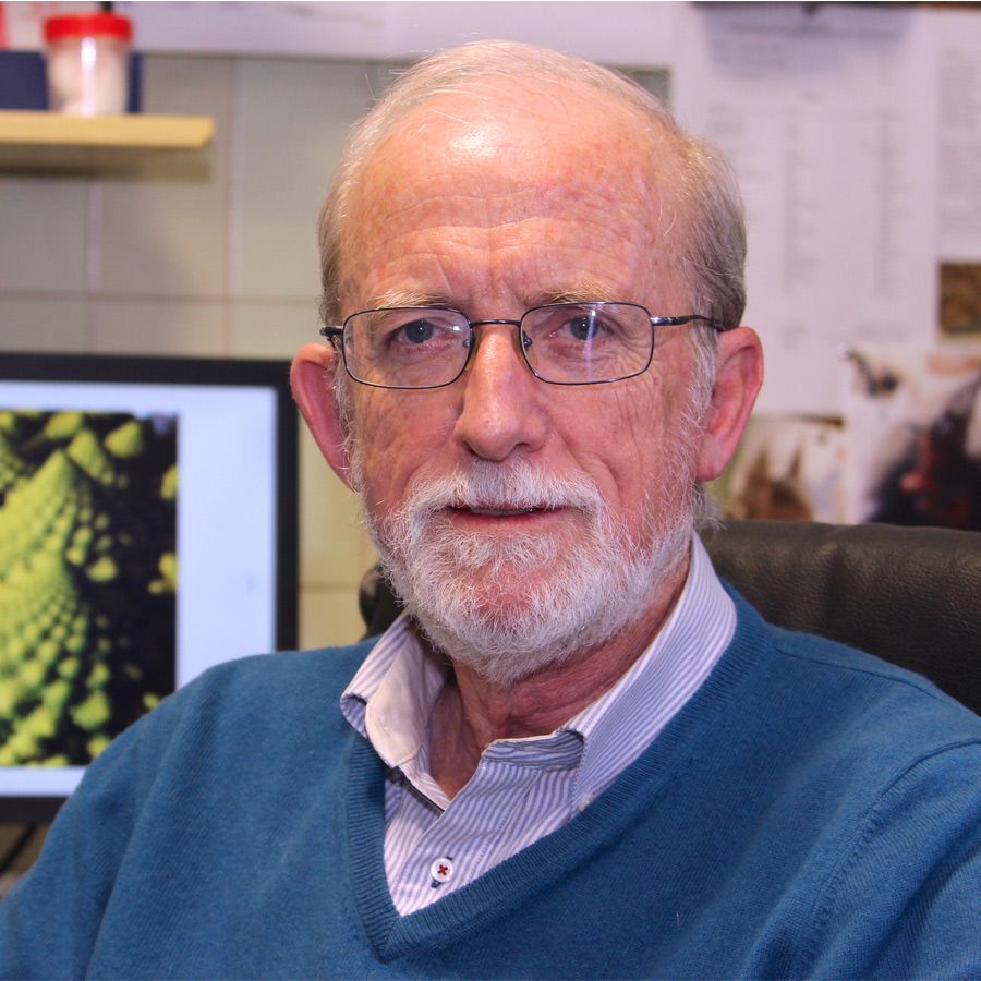 Dr. Carlos Avendaño, catedrático de Anatomía Humana y Neurociencia