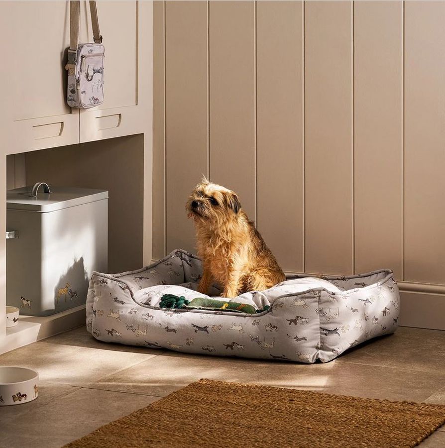 Cama para perros
